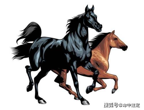 一马平川打一准确生肖的全面释义、解释与落实、科学解答解释落实