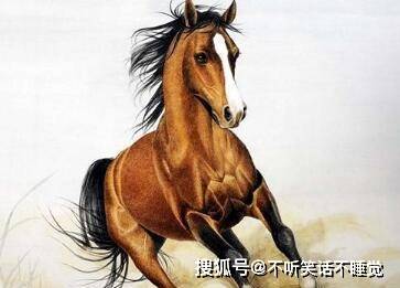 土木之数中特码将军君王美女伴打一精准生肖详细解答、精准解答解释落实