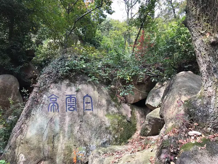 天平山上白云泉一四五码双头发是什么生肖详细解答、解释与落实、精准解答解释落实