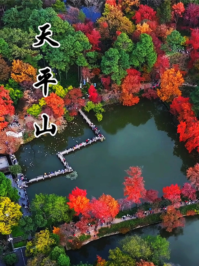 天平山上白云泉一四五码双头发是什么生肖详细解答、解释与落实、精准解答解释落实